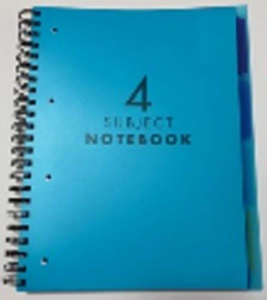 Eason A4 10 Subject Notebook - Translucent