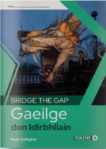 Bridge The Gap Irish Transition Year